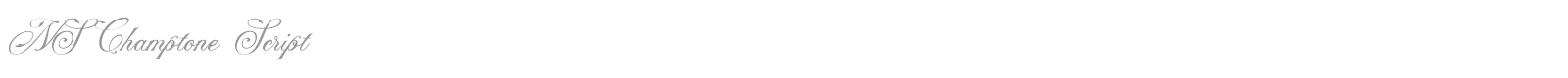 NS Champtone Script font preview